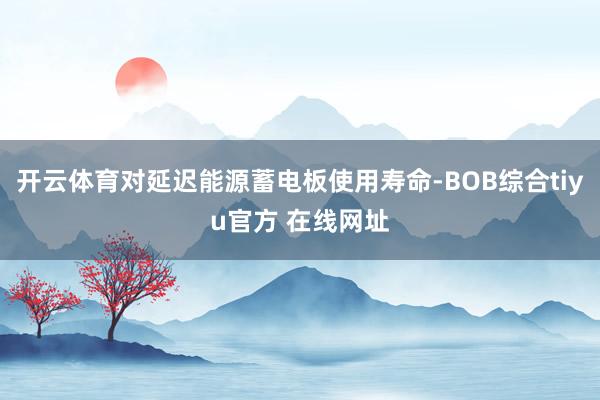 开云体育对延迟能源蓄电板使用寿命-BOB综合tiyu官方 在线网址