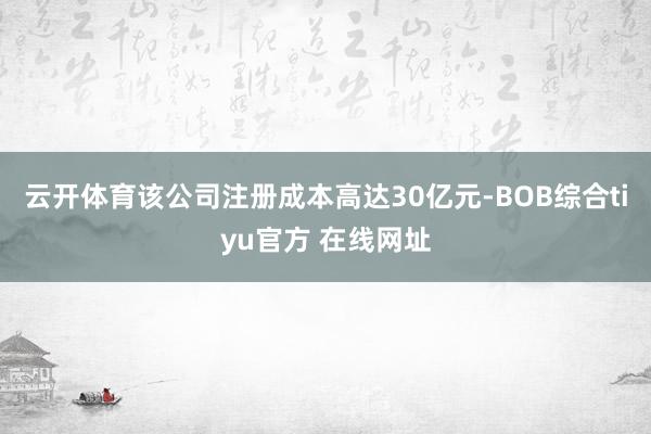 云开体育该公司注册成本高达30亿元-BOB综合tiyu官方 在线网址