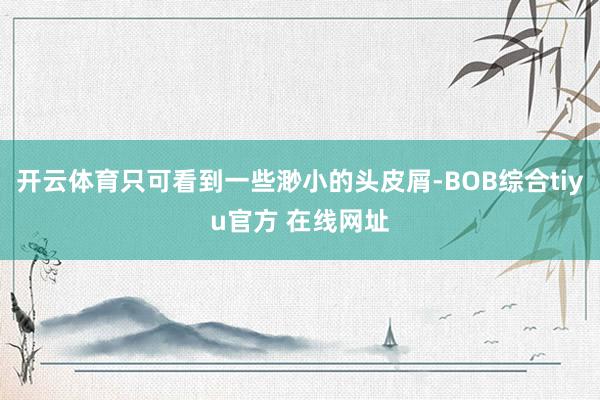 开云体育只可看到一些渺小的头皮屑-BOB综合tiyu官方 在线网址