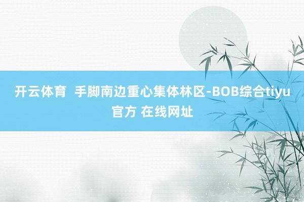 开云体育 手脚南边重心集体林区-BOB综合tiyu官方 在线网址
