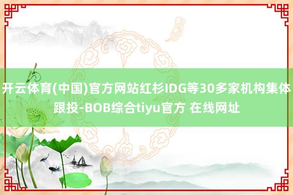 开云体育(中国)官方网站红杉IDG等30多家机构集体跟投-BOB综合tiyu官方 在线网址
