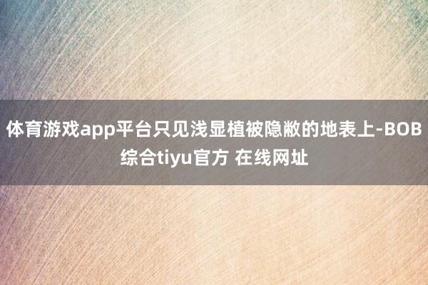 体育游戏app平台只见浅显植被隐敝的地表上-BOB综合tiyu官方 在线网址