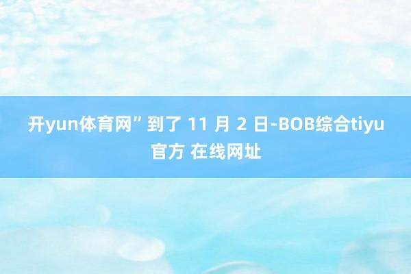 开yun体育网”到了 11 月 2 日-BOB综合tiyu官方 在线网址