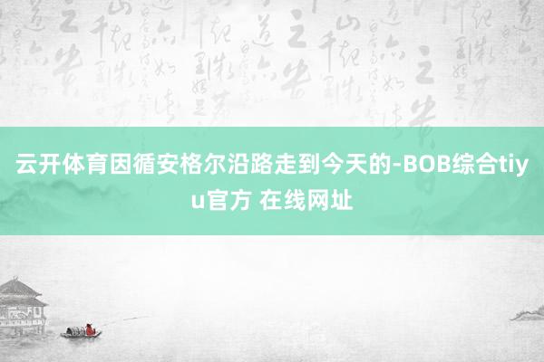 云开体育因循安格尔沿路走到今天的-BOB综合tiyu官方 在线网址