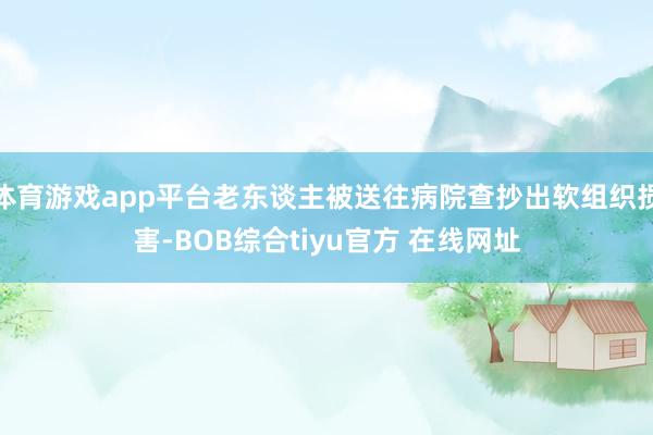 体育游戏app平台老东谈主被送往病院查抄出软组织损害-BOB综合tiyu官方 在线网址